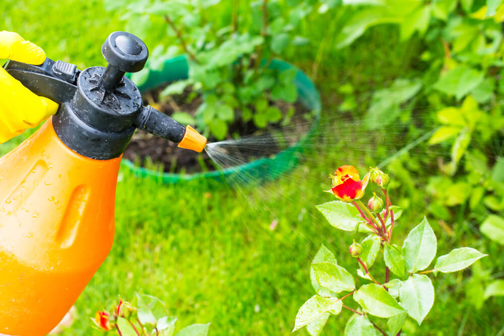 Organic-Pest-Control-Spray